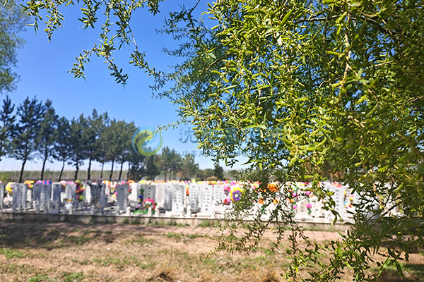 沈阳陵园大全及夏季特价墓地选购指南