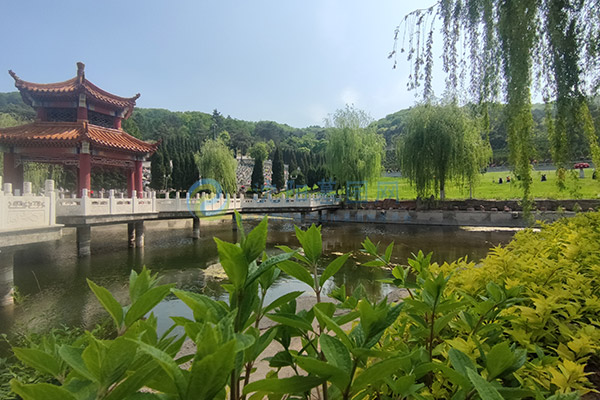 买墓地超过这个价就亏了：选择沈阳墓园大全价格表，了解更多周边公墓陵园！