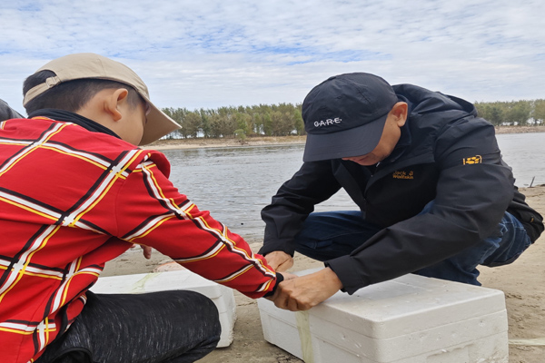 沈阳墓园大全列出辽河龙生墓园的美好与宁静 沈阳墓园大全列出辽河龙生墓园的美好与宁静