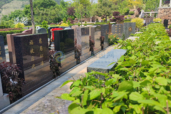 沈阳墓园2026陵园墓地价格大全：各区域墓园价格对比-+-公墓避坑指南