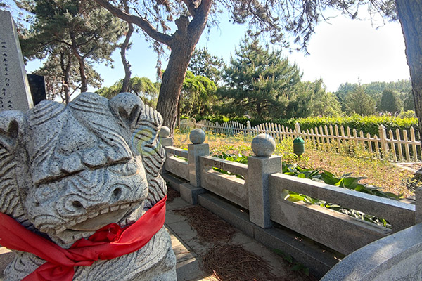 沈阳墓园2026陵园墓地价格大全：各区域墓园价格对比-+-公墓避坑指南