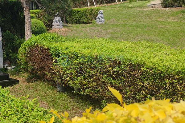 沈阳西灵山墓园价格一览：千元惠民，品质安息之选！