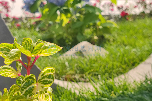 沈阳西灵山墓园价格一览：千元惠民，品质安息之选！