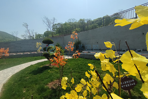 沈阳选墓园全攻略：公墓合法性、家庭预算、陵园环境、墓地手续等关键环节必知道！