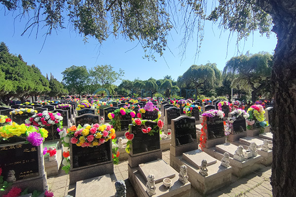 沈阳回龙岗墓园价格一览表大全2026：沈北龙脉福地惠民殡葬全攻略