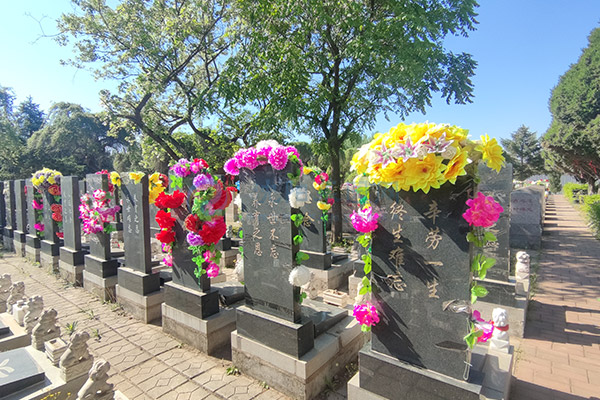 沈阳回龙岗墓园价格一览表大全2026：沈北龙脉福地惠民殡葬全攻略