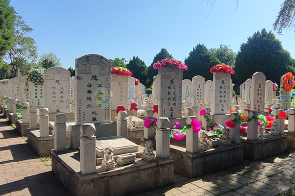 沈阳回龙岗墓园价格一览表大全2026：沈北龙脉福地惠民殡葬全攻略