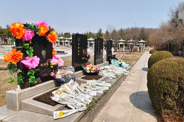 清明雨上，心祭英魂——沈阳墓园网清明祭英烈，共铸传承军魂