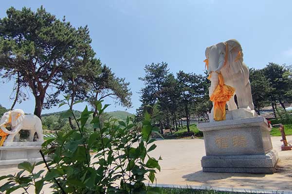 盘龙福地墓园 盘龙福地墓园