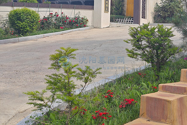 盘龙福地公墓